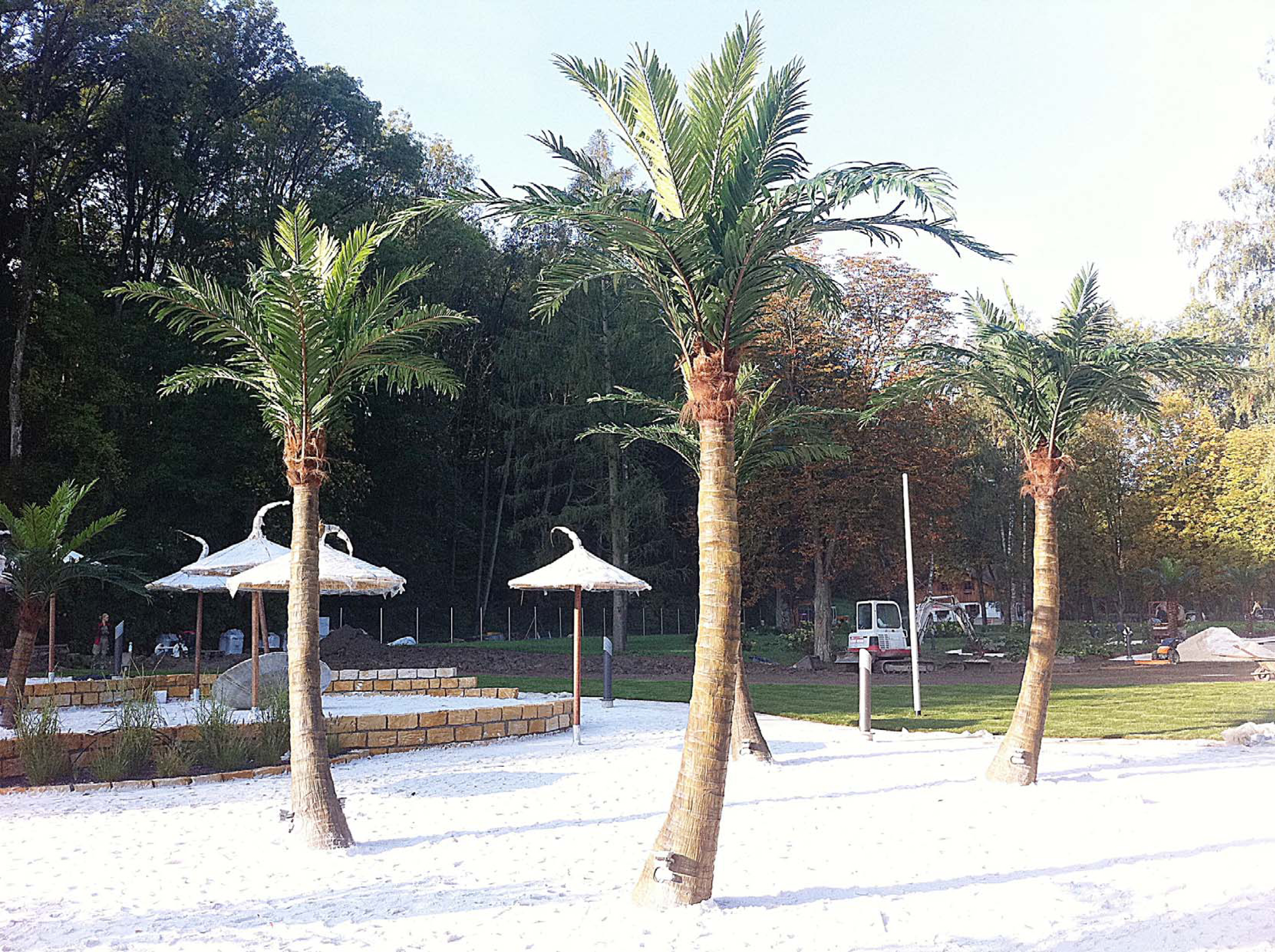 奧地利溫泉水療中心仿真棕櫚樹(shù)