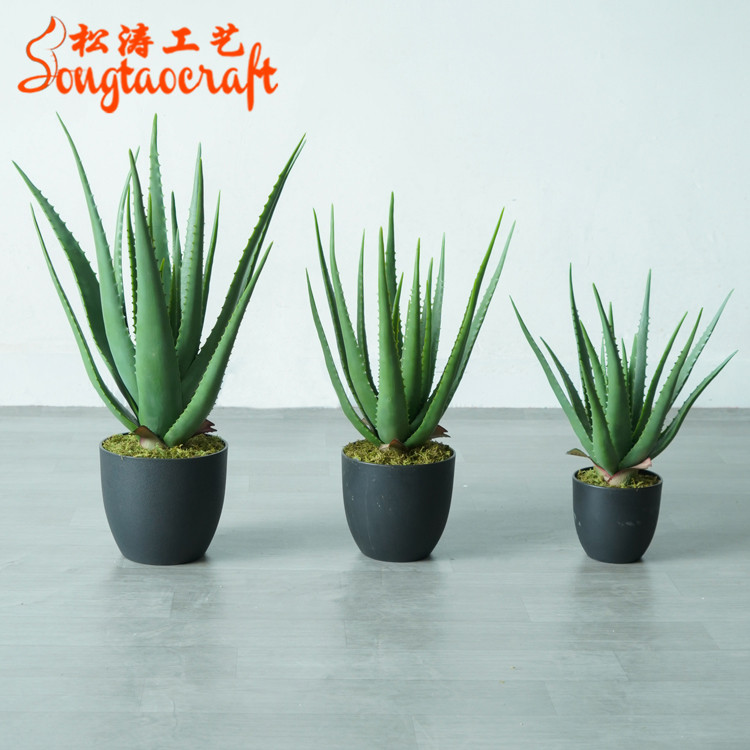 仿真蘆薈盆景