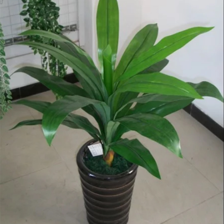 關(guān)于仿真植物的知識你知道多少？