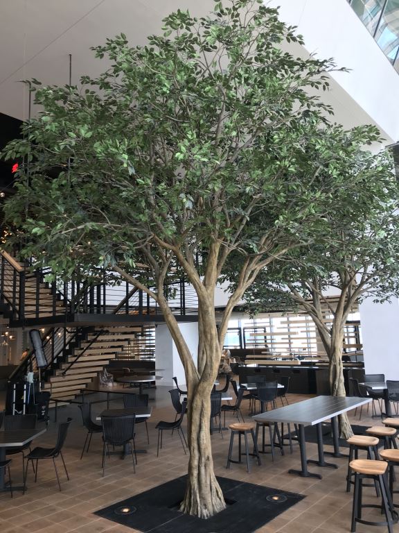 各類仿真樹(shù)盡在松濤工藝仿真樹(shù)廠家