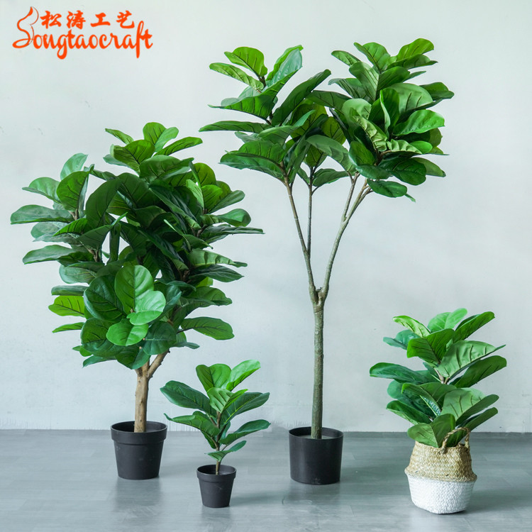 室內(nèi)仿真植物哪種好？