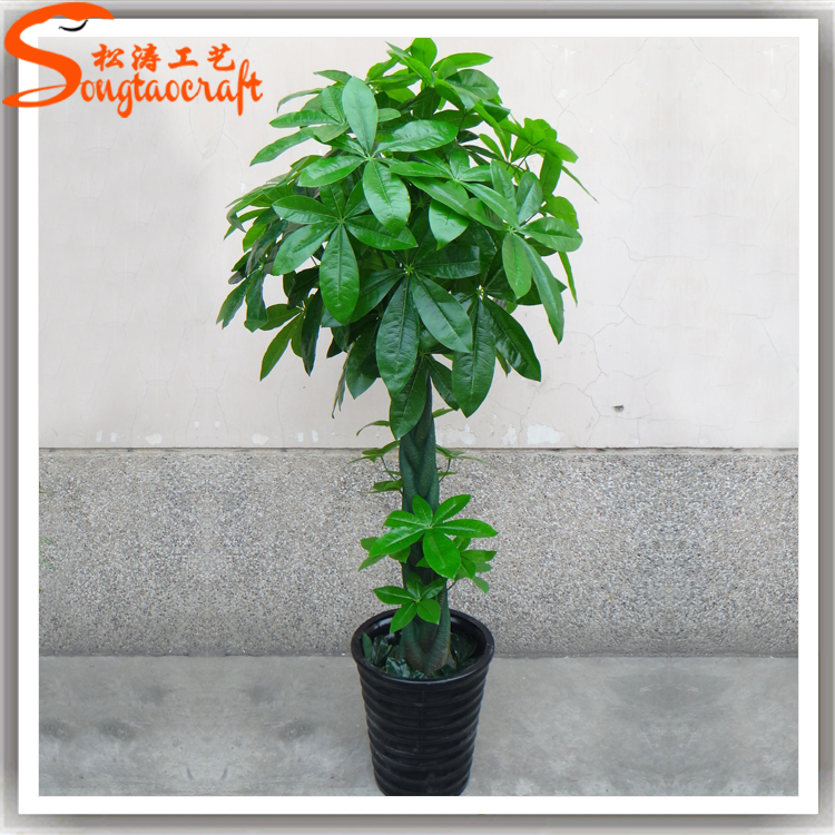 室內(nèi)仿真植物哪種好？