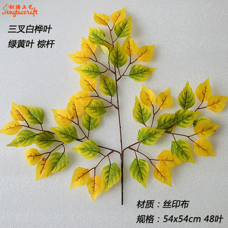 三叉樺樹(shù)葉