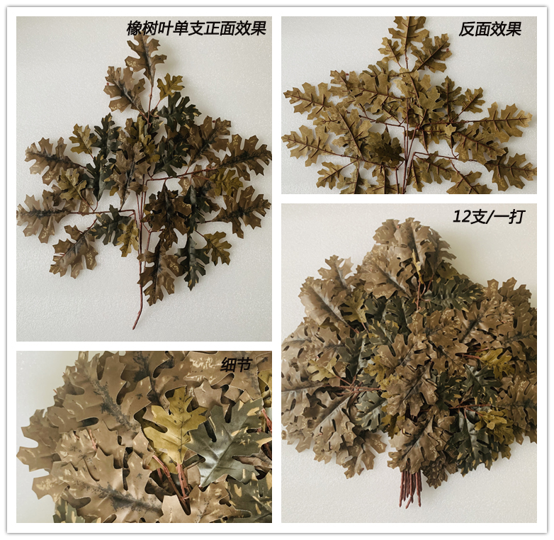 五叉假橡樹(shù)葉子