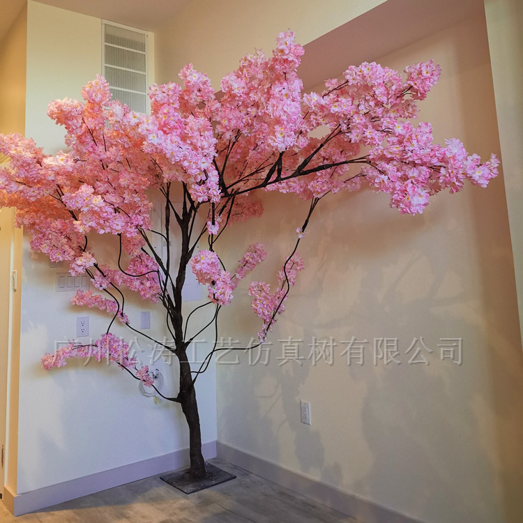 室內(nèi)迷你櫻花樹