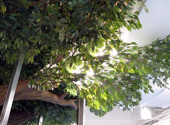 泡沫仿真樹(shù)安裝過(guò)程圖解