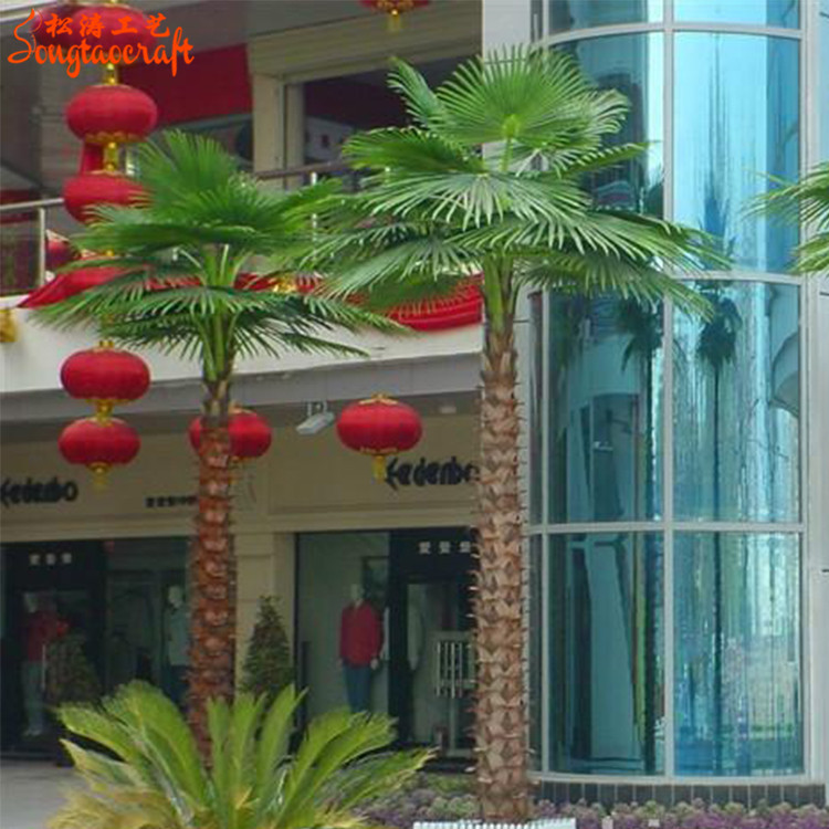 棕櫚樹，椰子樹，檳榔樹區(qū)別