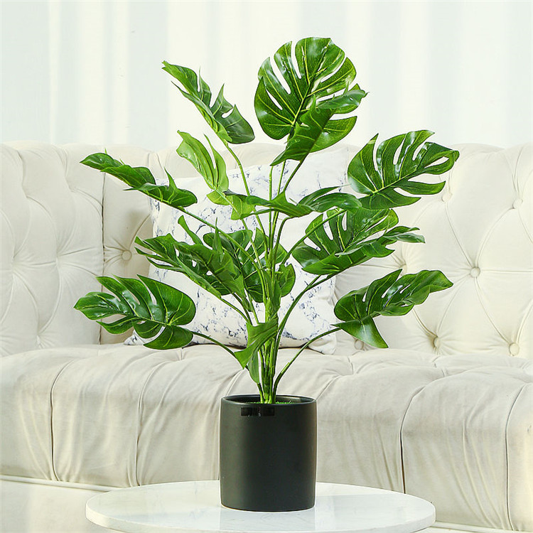 仿真植物應該這樣合理使用 仿真植物應該這樣合理使用