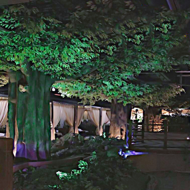 假樹的功能與優(yōu)勢 假樹的功能與優(yōu)勢