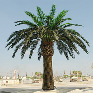 仿真海棗樹(shù)