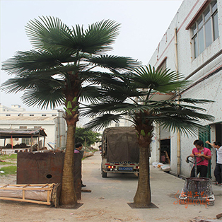 選購(gòu)仿真棕櫚樹有什么小竅門呢？